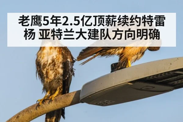 老鹰5年2.5亿顶薪续约特雷杨 亚特兰大建队方向明确
